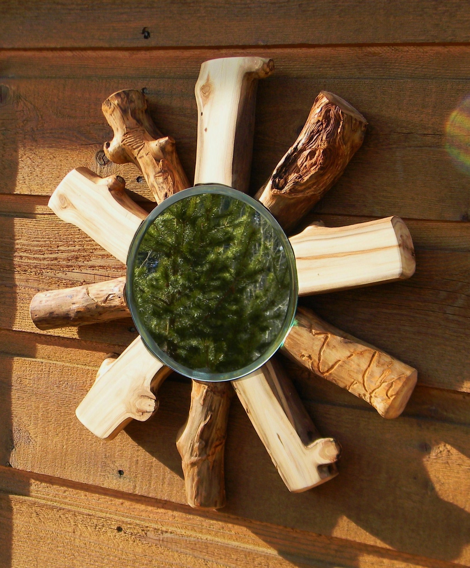 Aspen Spirit - (wood art)